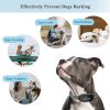 Adjustable Training Device Bark Collar for Large Medium and Small Dogs